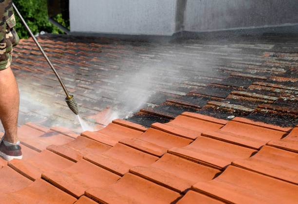 Best Pressure Washing Contractors  in Gluckstadt, MS